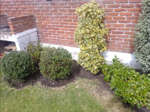 Jardín después del trabajo